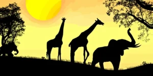 In Search of the Big Five: African Safari Adventures