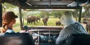 An Eco-Tourist’s Guide to Responsible Wildlife Viewing in Africa